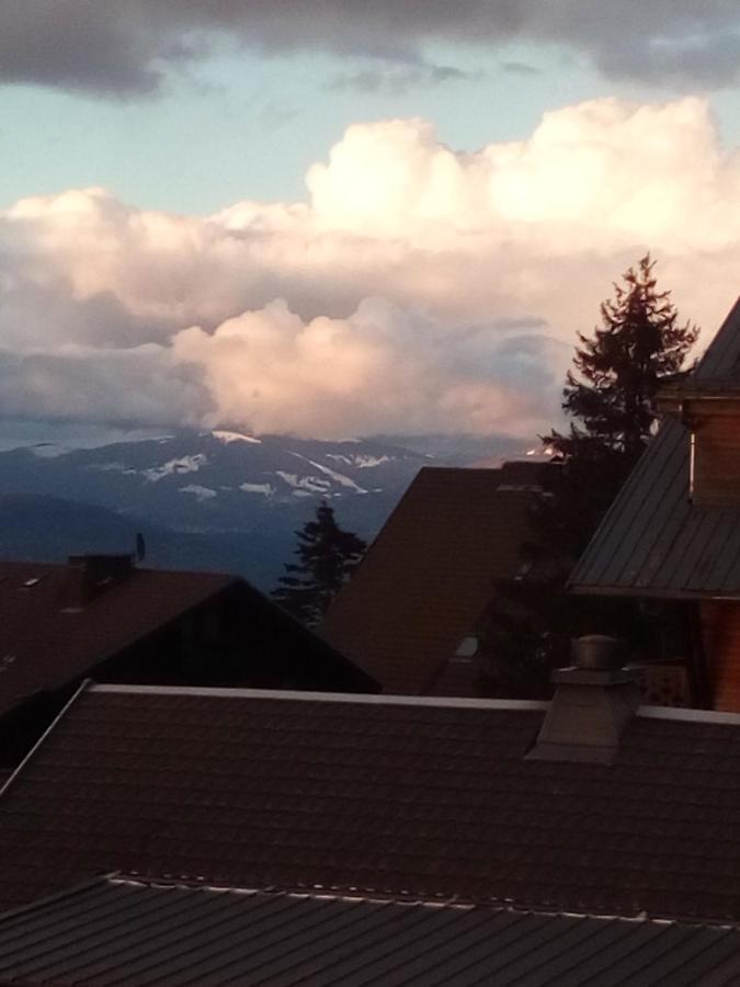 Superbe Appartement T2 3 Etoiles 40M2 Pied Des Pistes Vue Sur Le Lac Thollon-les-Memises Eksteriør billede