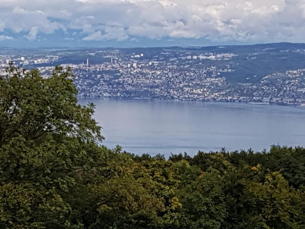 Superbe Appartement T2 3 Etoiles 40M2 Pied Des Pistes Vue Sur Le Lac Thollon-les-Memises Eksteriør billede